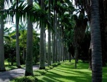 Trabajadores del Jardín Botánico ahora están adscritos a la UCV